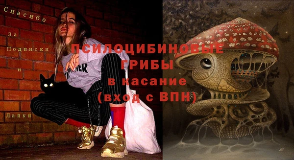 крисы Алексин