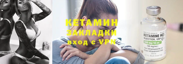 крисы Алексин