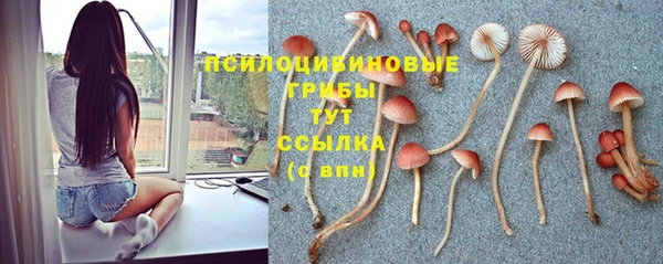 Альфа ПВП Алексеевка