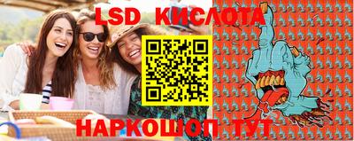индика Можга