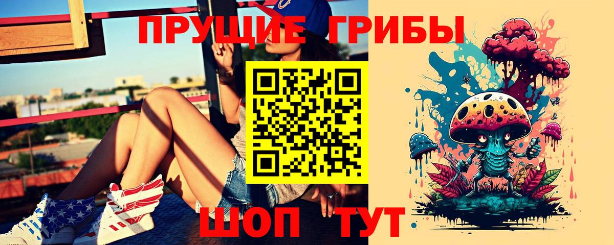 Псилоцибиновые грибы мицелий Тара