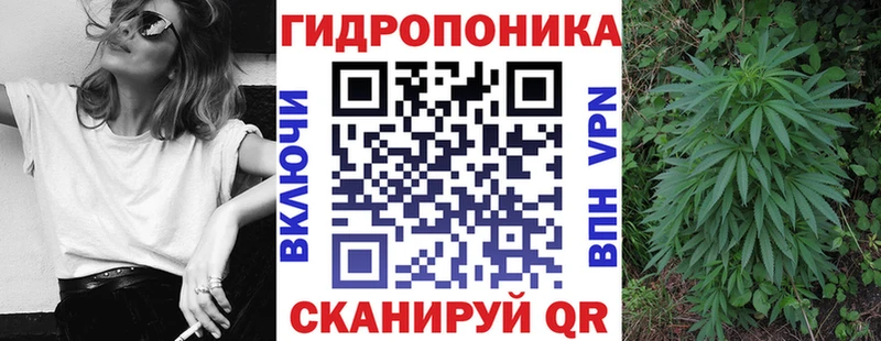 Бошки Шишки MAZAR  продажа наркотиков  Тара 