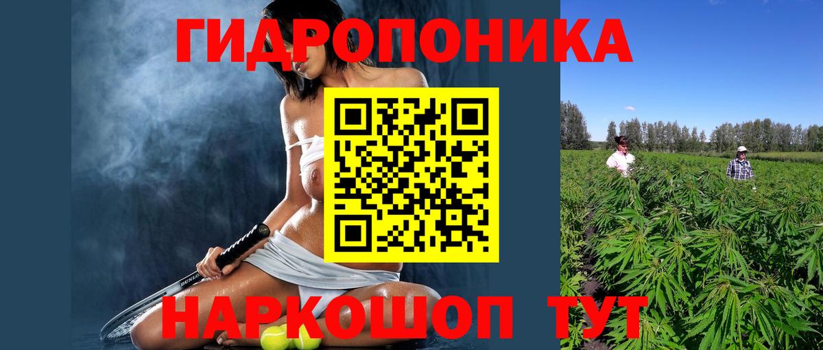 МАРИХУАНА Ganja  Вход с VPN  Марихуана план  Тара  Шишки марихуана White Widow  Канабис VHQ 